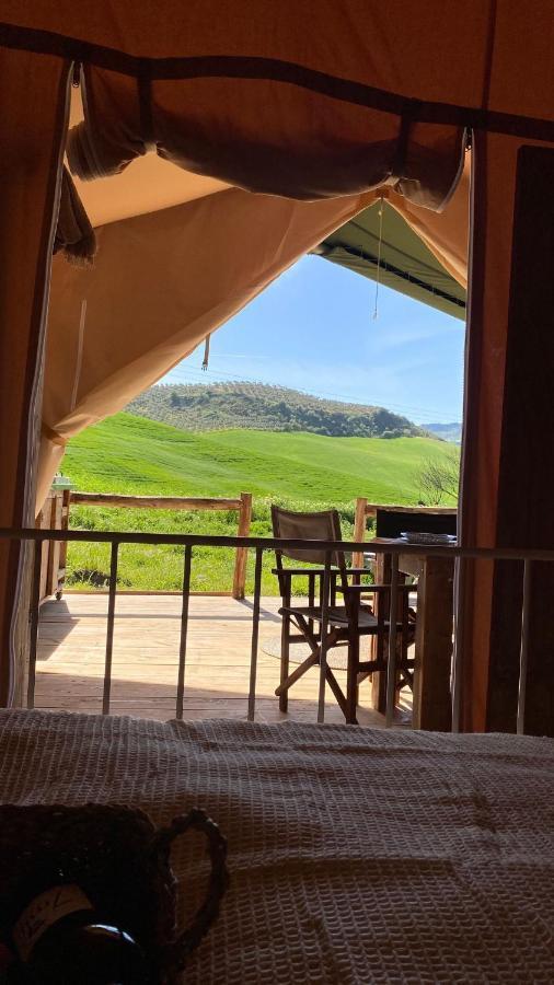 Hotel Tienda De Safari Almagro Montecorto Zewnętrze zdjęcie
