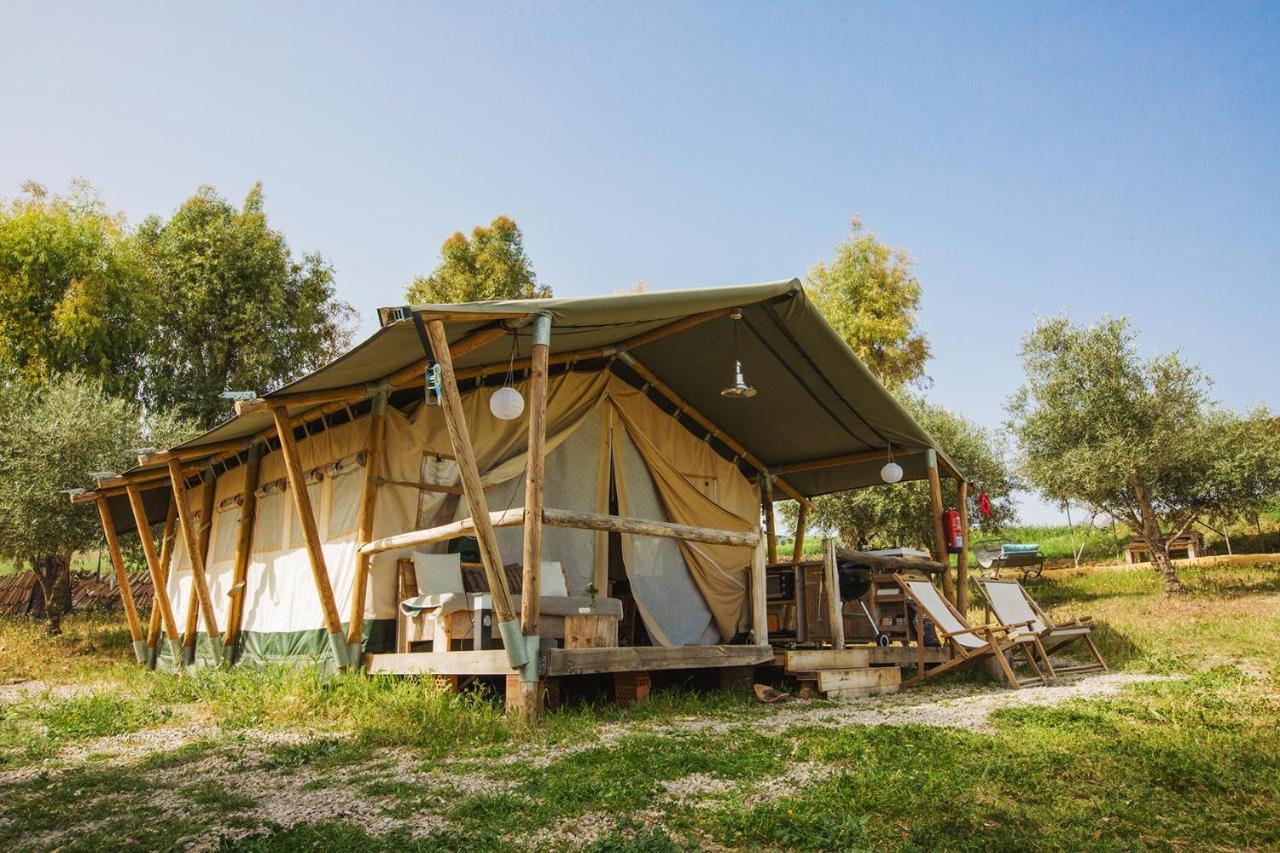 Hotel Tienda De Safari Almagro Montecorto Zewnętrze zdjęcie